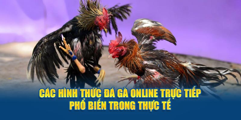 Các hình thức đá gà online trực tiếp phổ biến trong thực tế