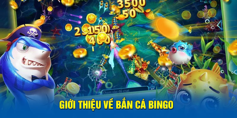 Giới thiệu về bắn cá Bingo 